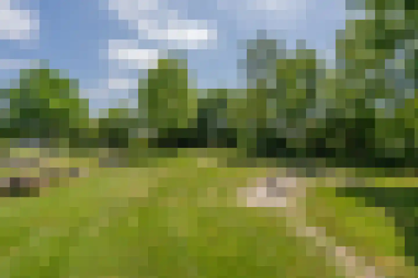 Kanaal O.Z. 19 Drijber thumbnail 39