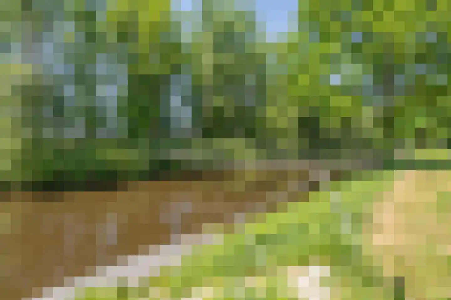 Kanaal O.Z. 19 Drijber thumbnail 45