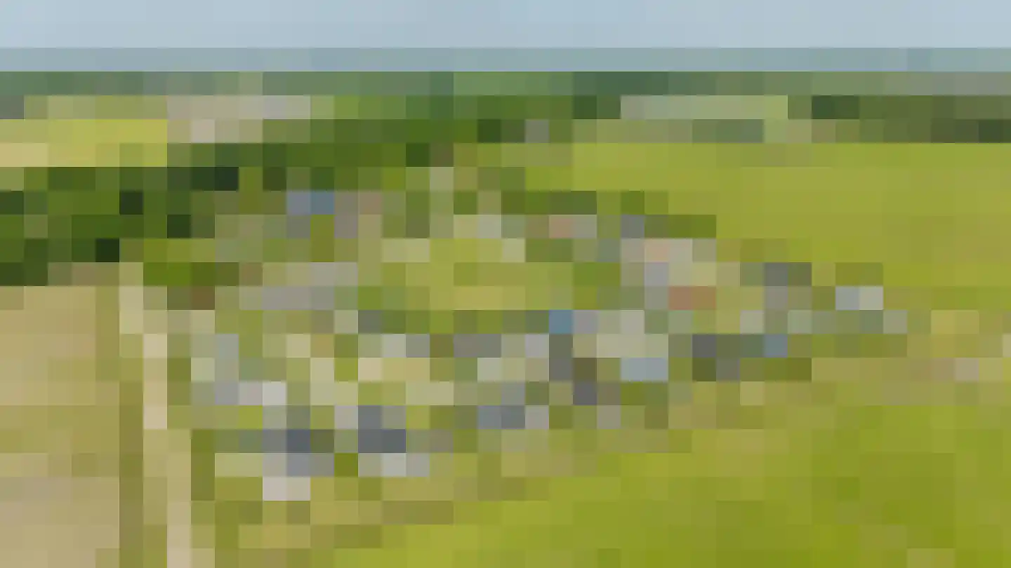 Kanaal O.Z. 19 Drijber thumbnail 47