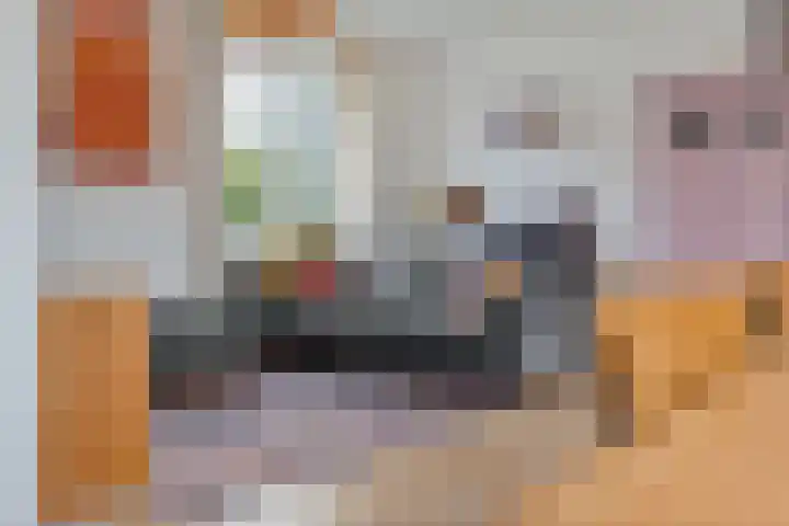 Kanaal O.Z. 29 a Tiendeveen thumbnail 10