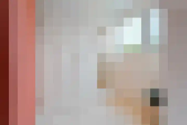 Kanaal O.Z. 29 a Tiendeveen thumbnail 23