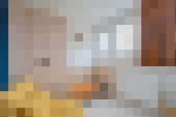 Kanaal O.Z. 29 a Tiendeveen thumbnail 26