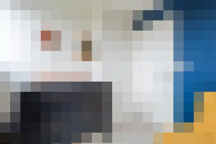 Kanaal O.Z. 29 a Tiendeveen thumbnail 27