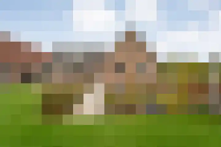 Kanaal O.Z. 29 a Tiendeveen thumbnail 33