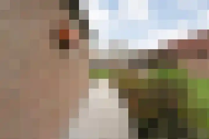 Kanaal O.Z. 29 a Tiendeveen thumbnail 38