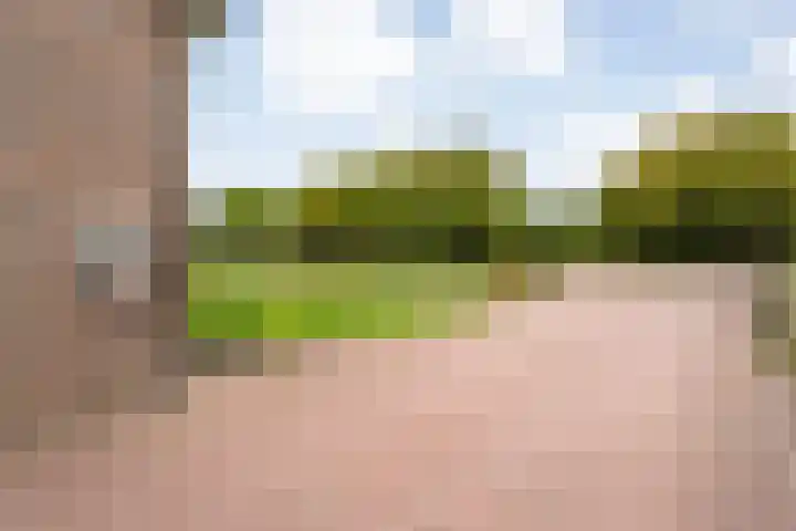 Kanaal O.Z. 29 a Tiendeveen thumbnail 39