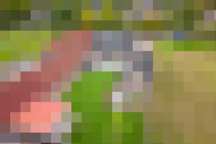 Kanaal O.Z. 29 a Tiendeveen thumbnail 42