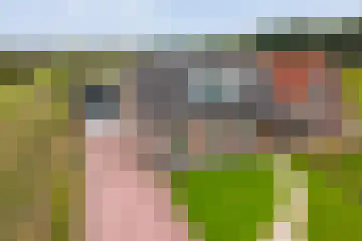Kanaal O.Z. 29 a Tiendeveen thumbnail 43