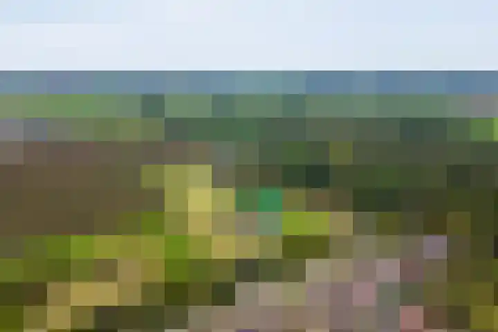 Kanaal O.Z. 29 a Tiendeveen thumbnail 44