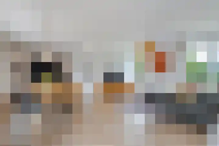 Kanaal O.Z. 29 a Tiendeveen thumbnail 6