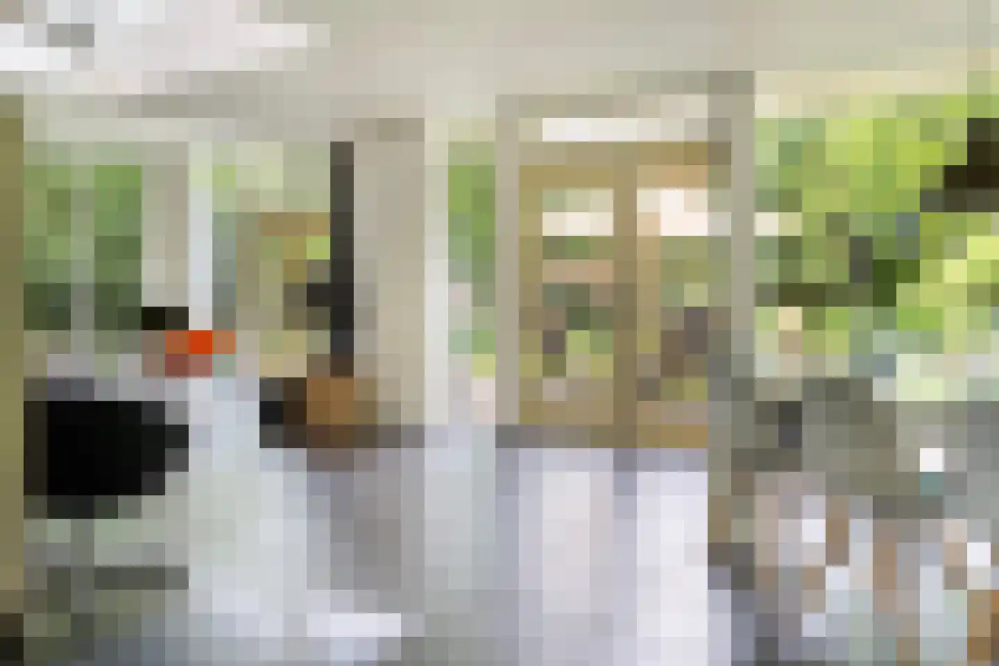 Kanaal O.Z. 9 17 Drijber thumbnail 13