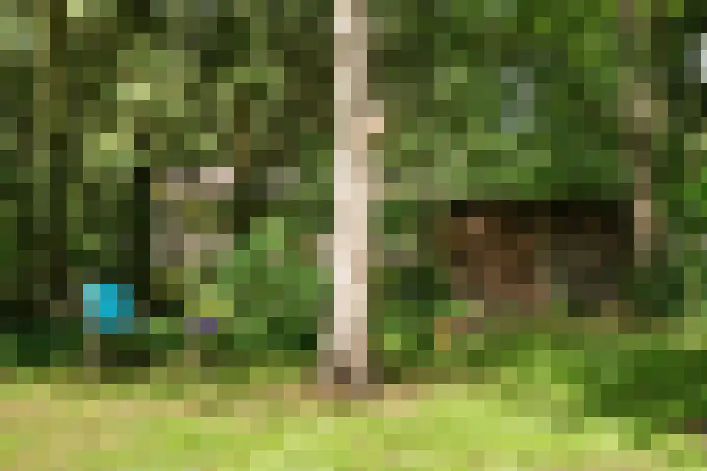 Kanaal O.Z. 9 17 Drijber thumbnail 33
