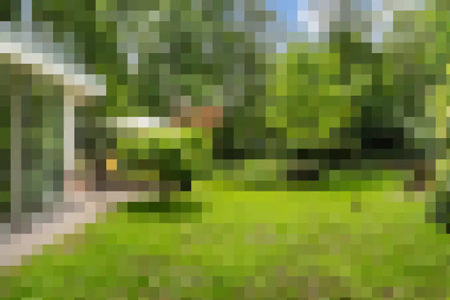 Kanaal O.Z. 9 17 Drijber thumbnail 36