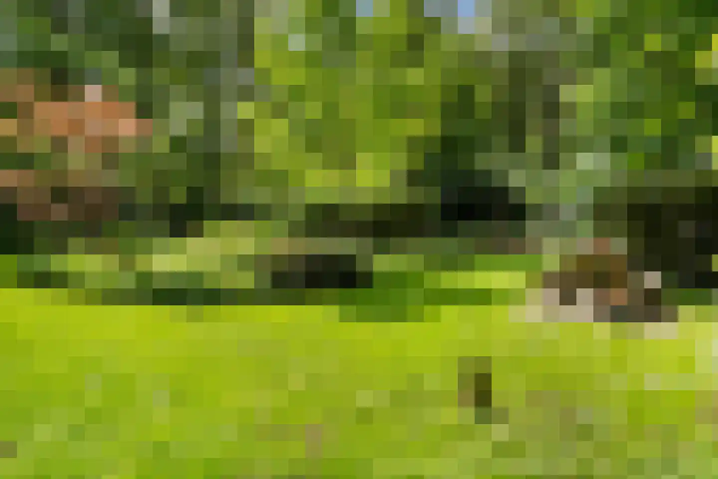 Kanaal O.Z. 9 17 Drijber thumbnail 37