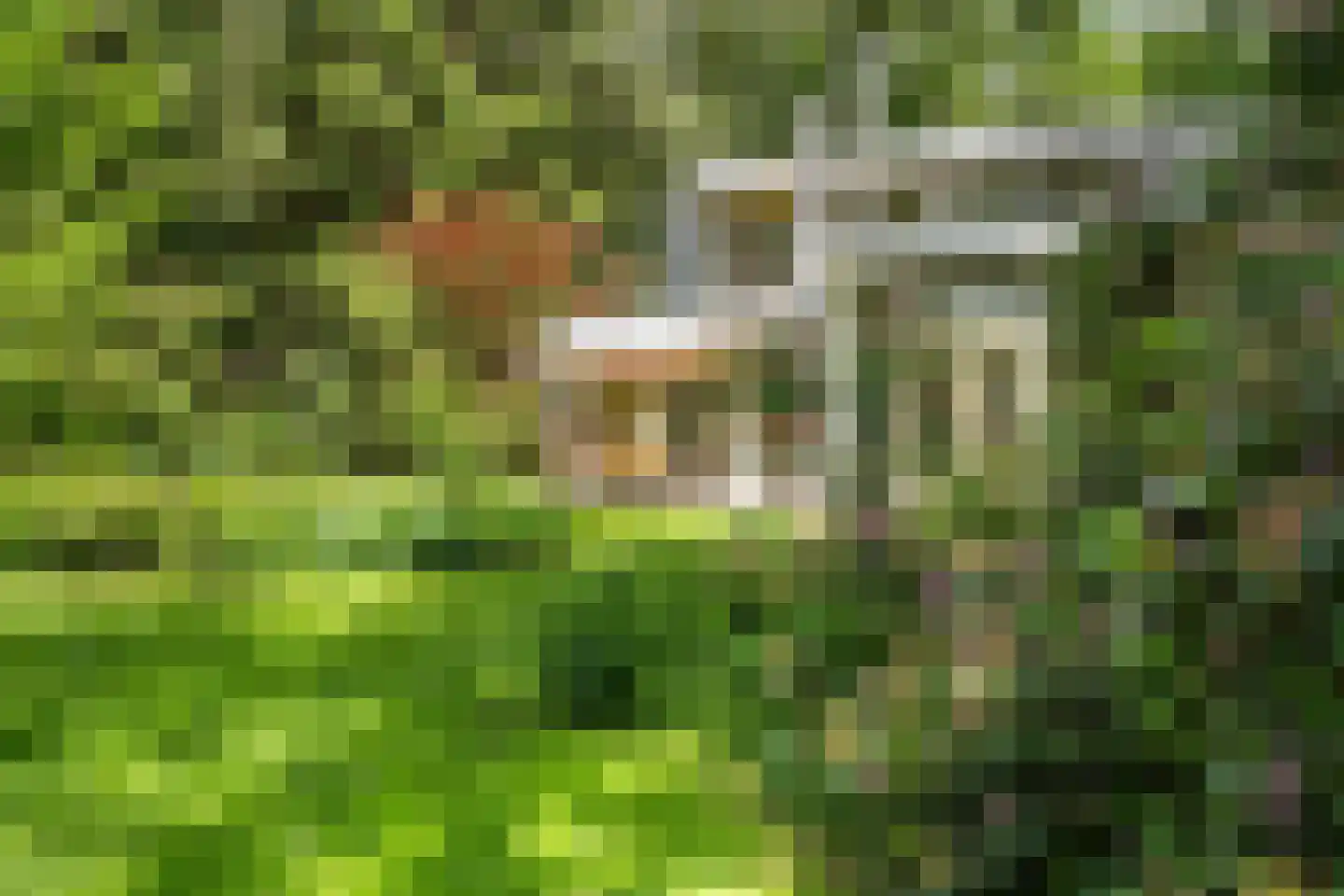 Kanaal O.Z. 9 17 Drijber thumbnail 38
