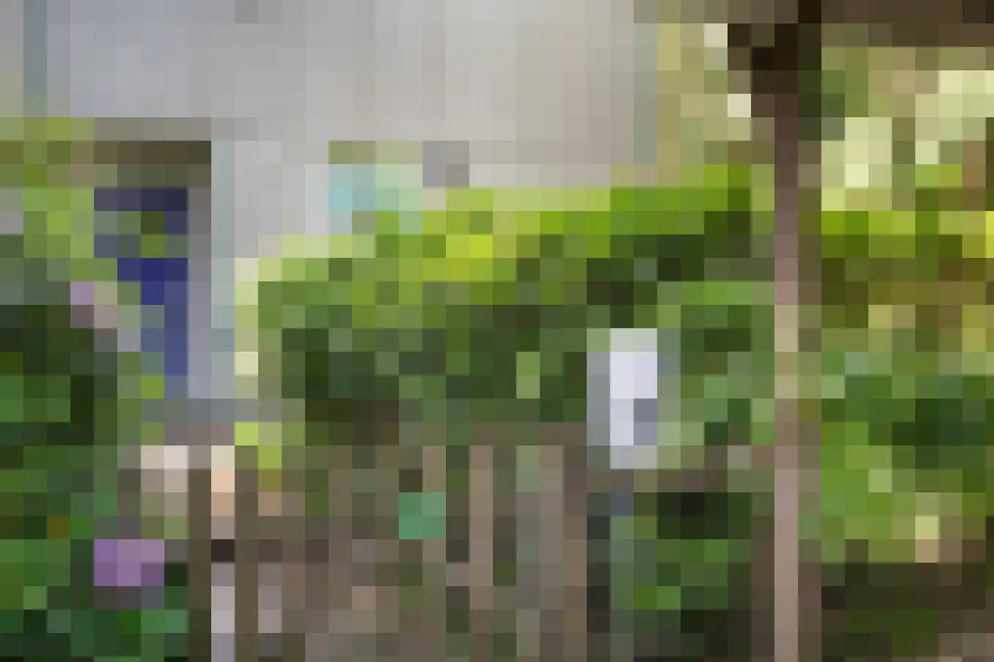 Kanaal O.Z. 9 17 Drijber thumbnail 4