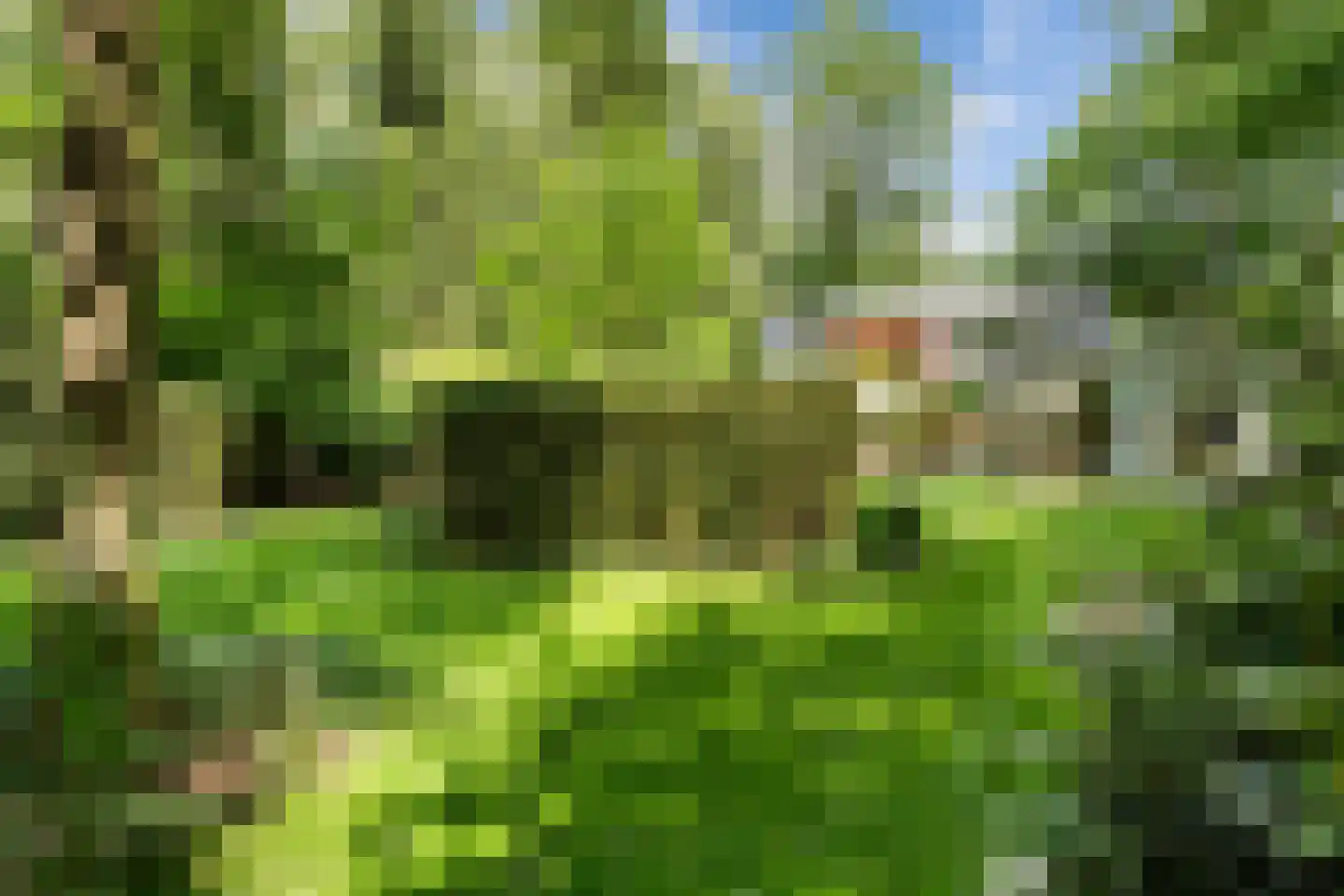 Kanaal O.Z. 9 17 Drijber thumbnail 40