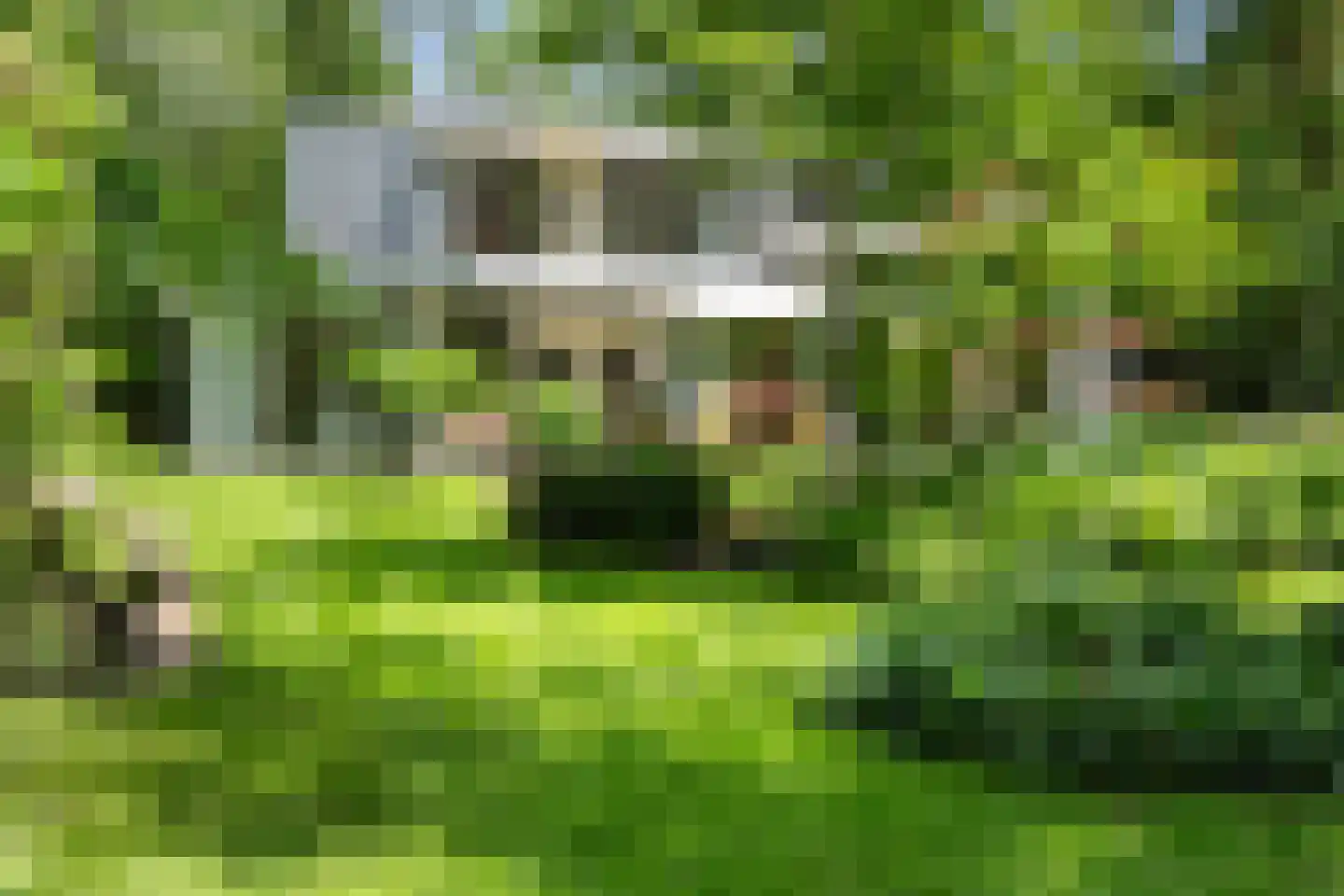 Kanaal O.Z. 9 17 Drijber thumbnail 41