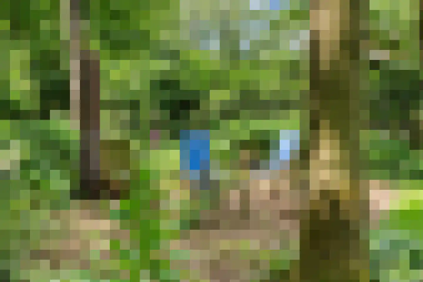 Kanaal O.Z. 9 17 Drijber thumbnail 42