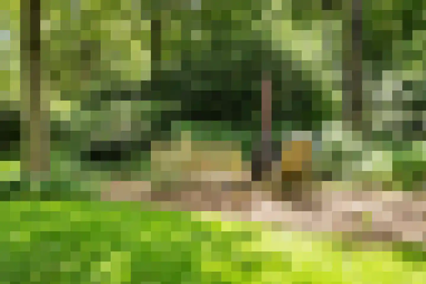 Kanaal O.Z. 9 17 Drijber thumbnail 43