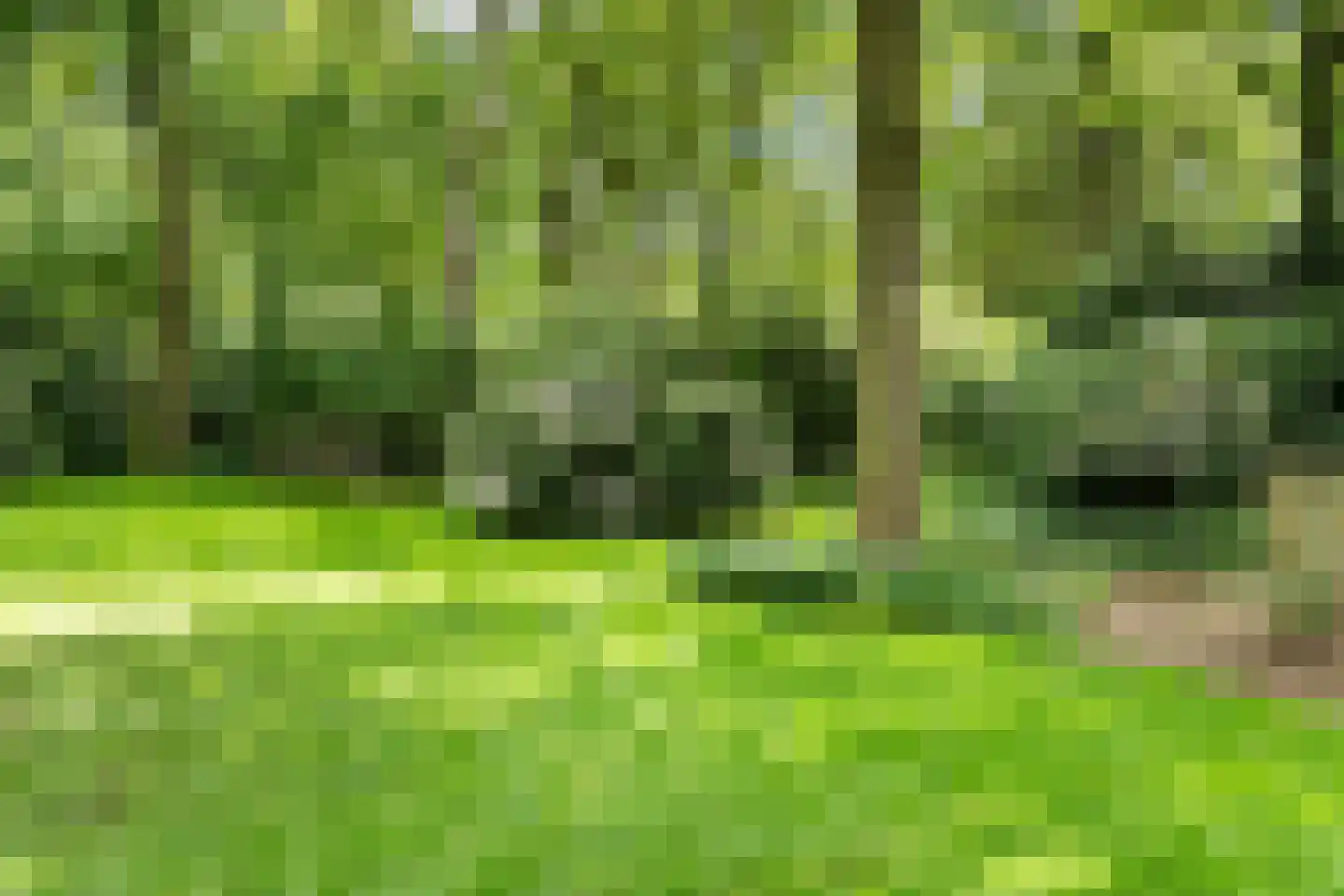 Kanaal O.Z. 9 17 Drijber thumbnail 44