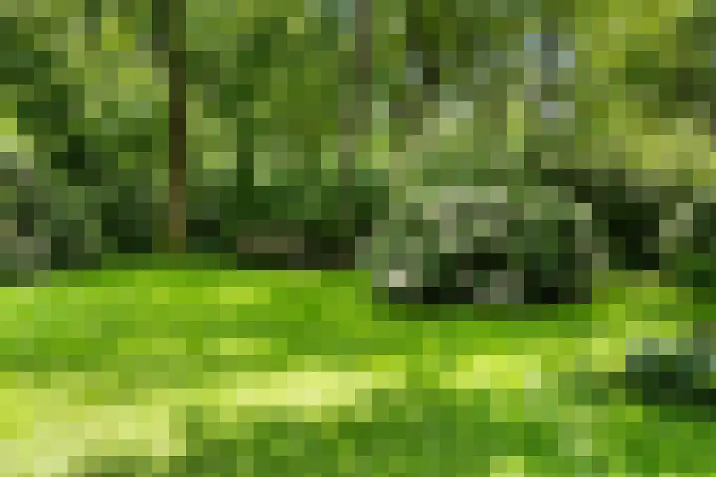 Kanaal O.Z. 9 17 Drijber thumbnail 45
