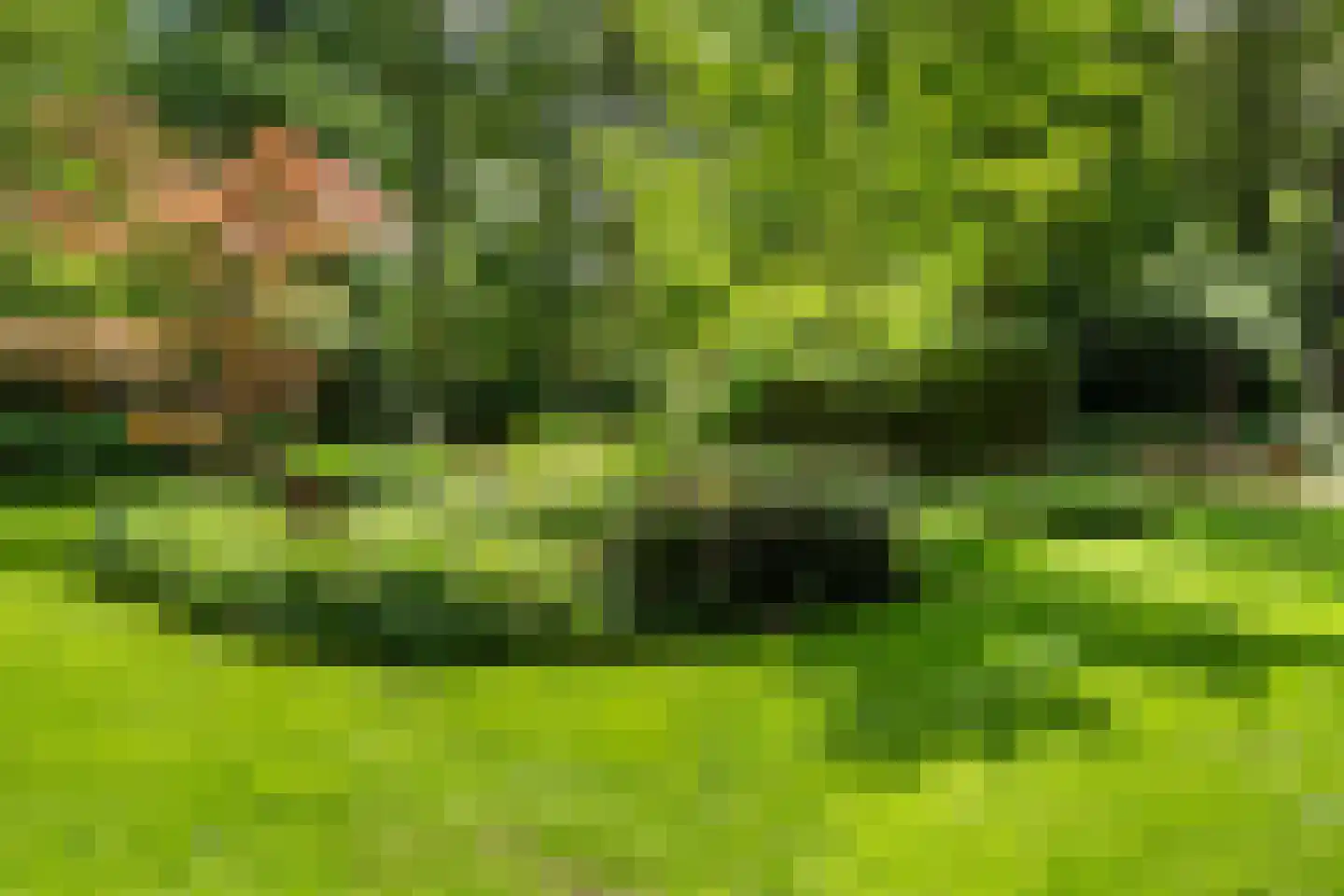 Kanaal O.Z. 9 17 Drijber thumbnail 46