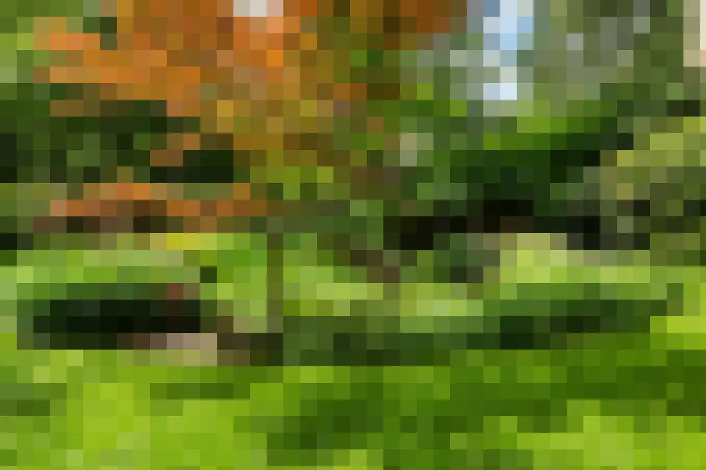 Kanaal O.Z. 9 17 Drijber thumbnail 47