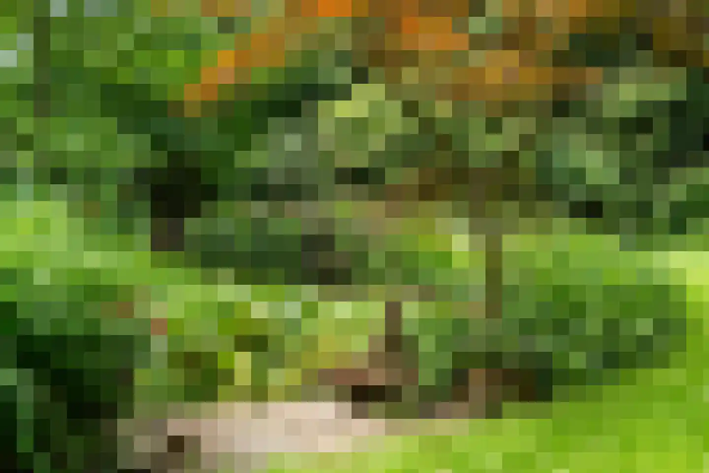 Kanaal O.Z. 9 17 Drijber thumbnail 48
