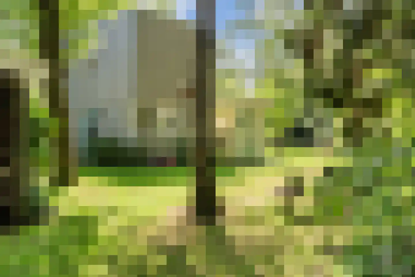 Kanaal O.Z. 9 17 Drijber thumbnail 5