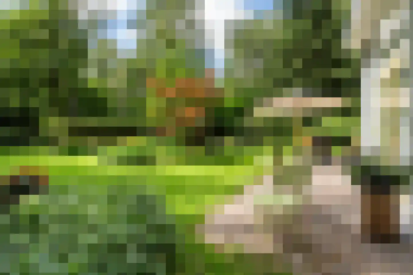 Kanaal O.Z. 9 17 Drijber thumbnail 50