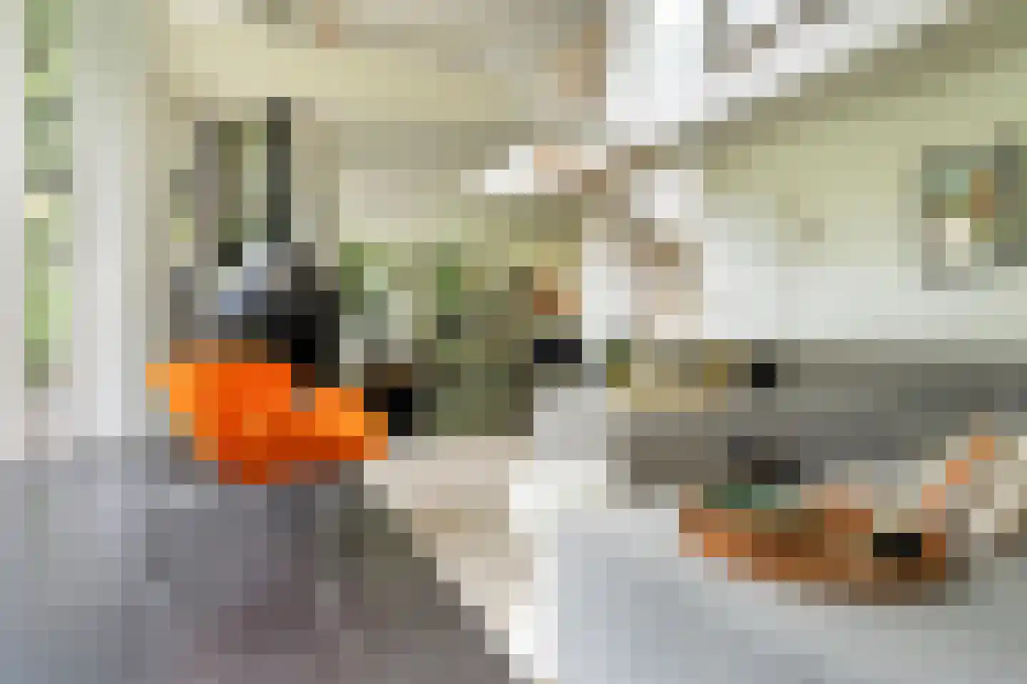 Kanaal O.Z. 9 17 Drijber thumbnail 7