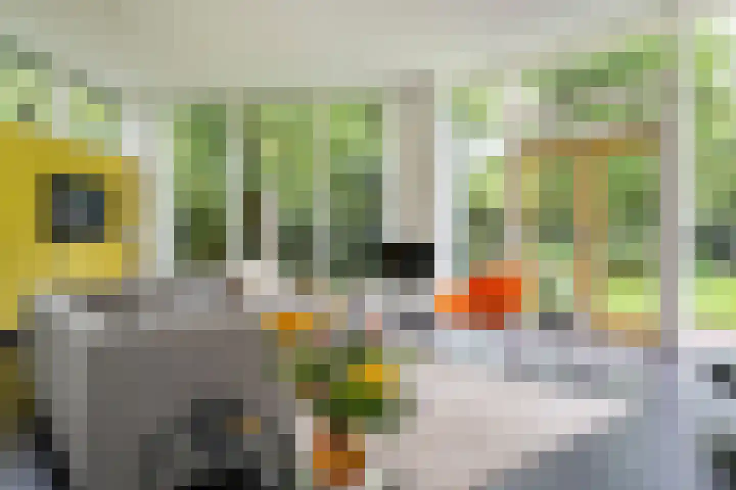 Kanaal O.Z. 9 17 Drijber thumbnail 8