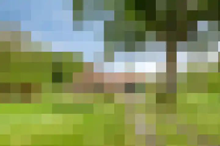 Kanaal O.Z. 9 in Tiendeveen