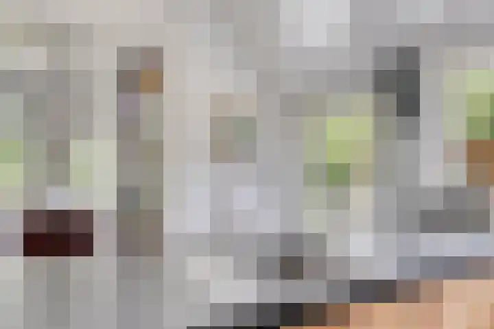 Kanaal O.Z. 9 Tiendeveen thumbnail 12
