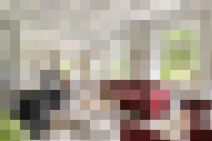 Kanaal O.Z. 9 Tiendeveen thumbnail 15