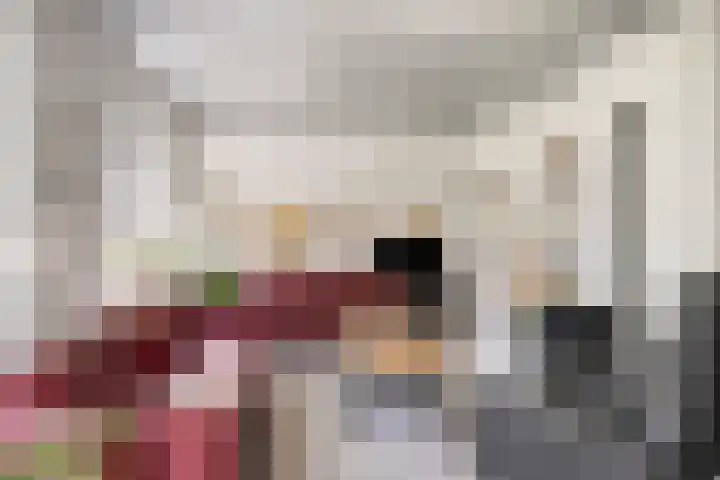 Kanaal O.Z. 9 Tiendeveen thumbnail 17