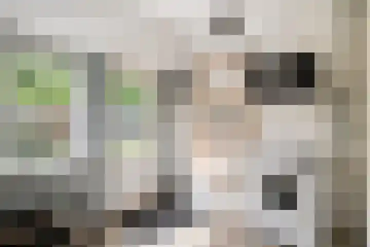 Kanaal O.Z. 9 Tiendeveen thumbnail 24