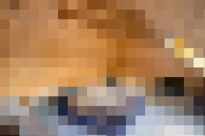 Kanaal O.Z. 9 Tiendeveen thumbnail 28