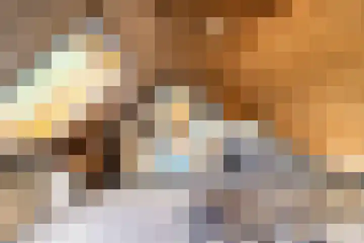 Kanaal O.Z. 9 Tiendeveen thumbnail 29