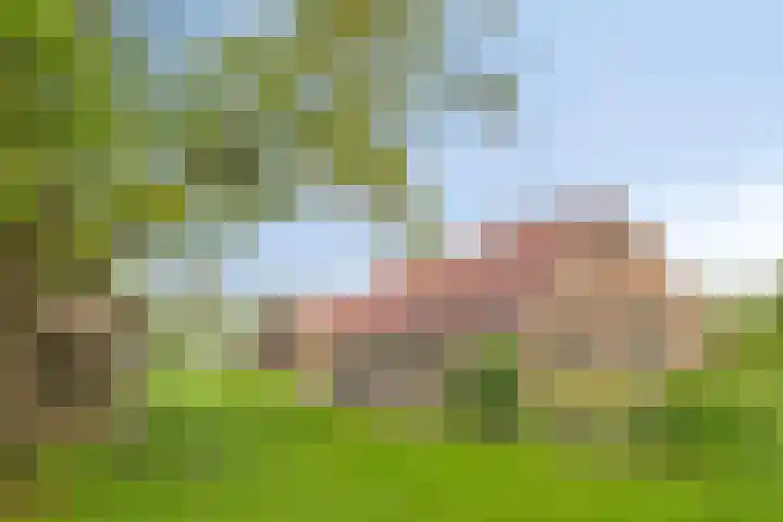 Kanaal O.Z. 9 Tiendeveen foto 3