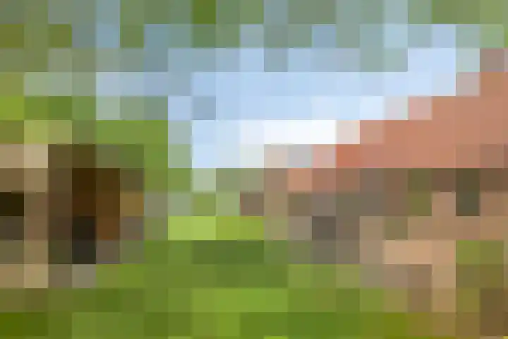 Kanaal O.Z. 9 Tiendeveen thumbnail 33