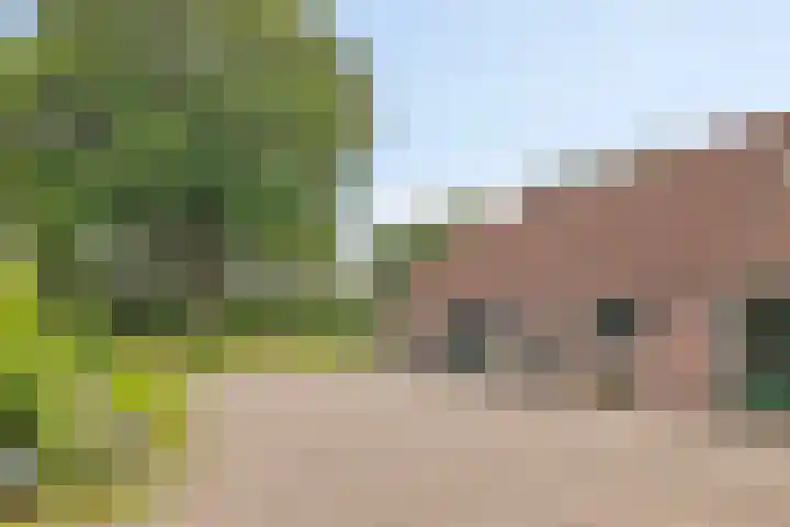 Kanaal O.Z. 9 Tiendeveen thumbnail 34