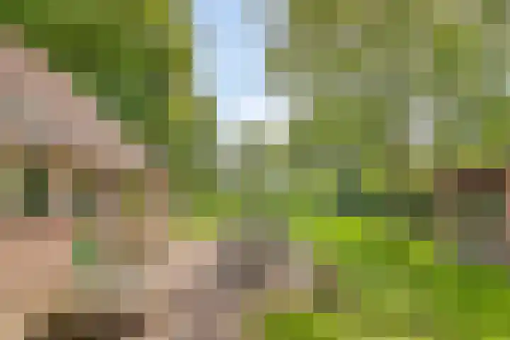 Kanaal O.Z. 9 Tiendeveen thumbnail 4