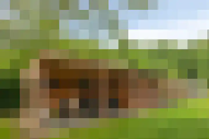 Kanaal O.Z. 9 Tiendeveen thumbnail 40