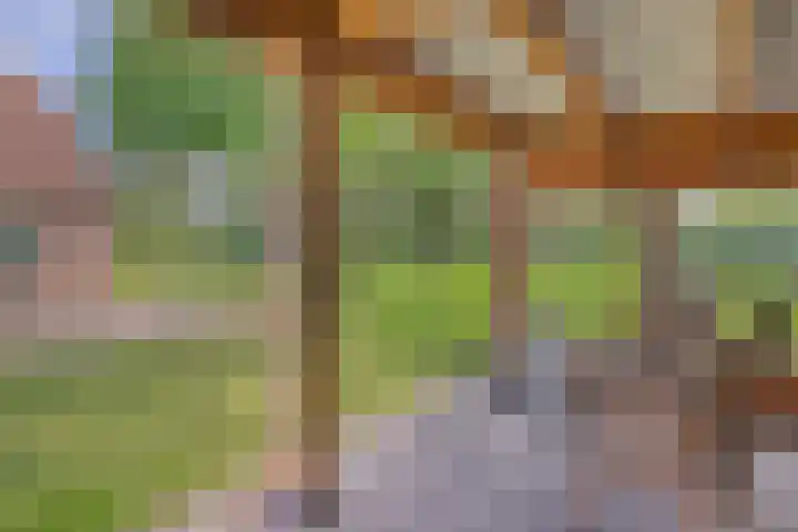 Kanaal O.Z. 9 Tiendeveen thumbnail 41