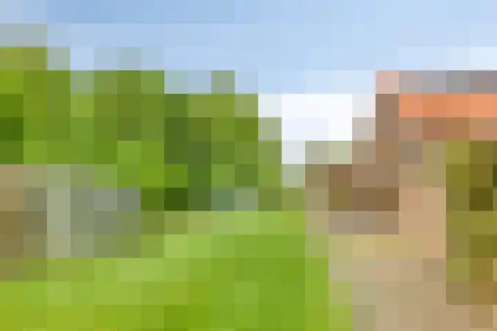 Kanaal O.Z. 9 Tiendeveen thumbnail 42