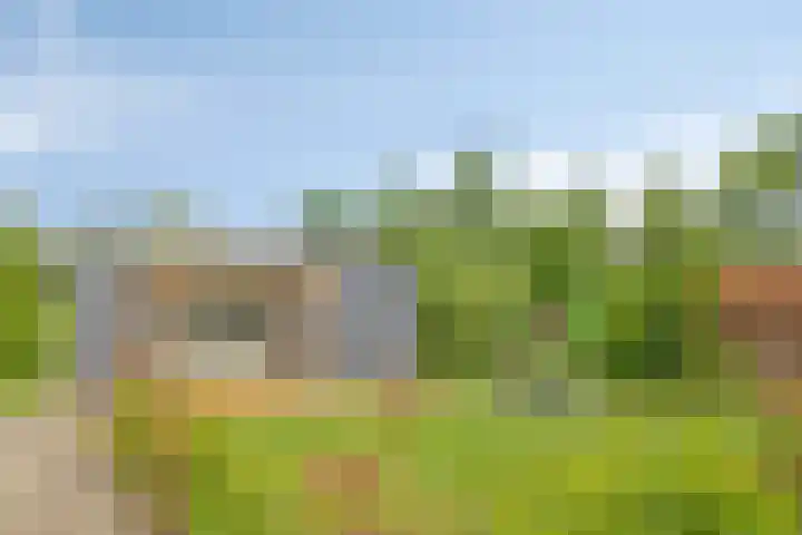 Kanaal O.Z. 9 Tiendeveen thumbnail 44