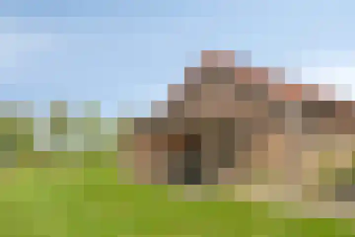 Kanaal O.Z. 9 Tiendeveen thumbnail 47