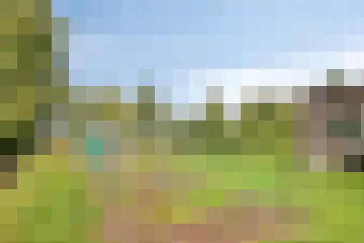 Kanaal O.Z. 9 Tiendeveen thumbnail 48